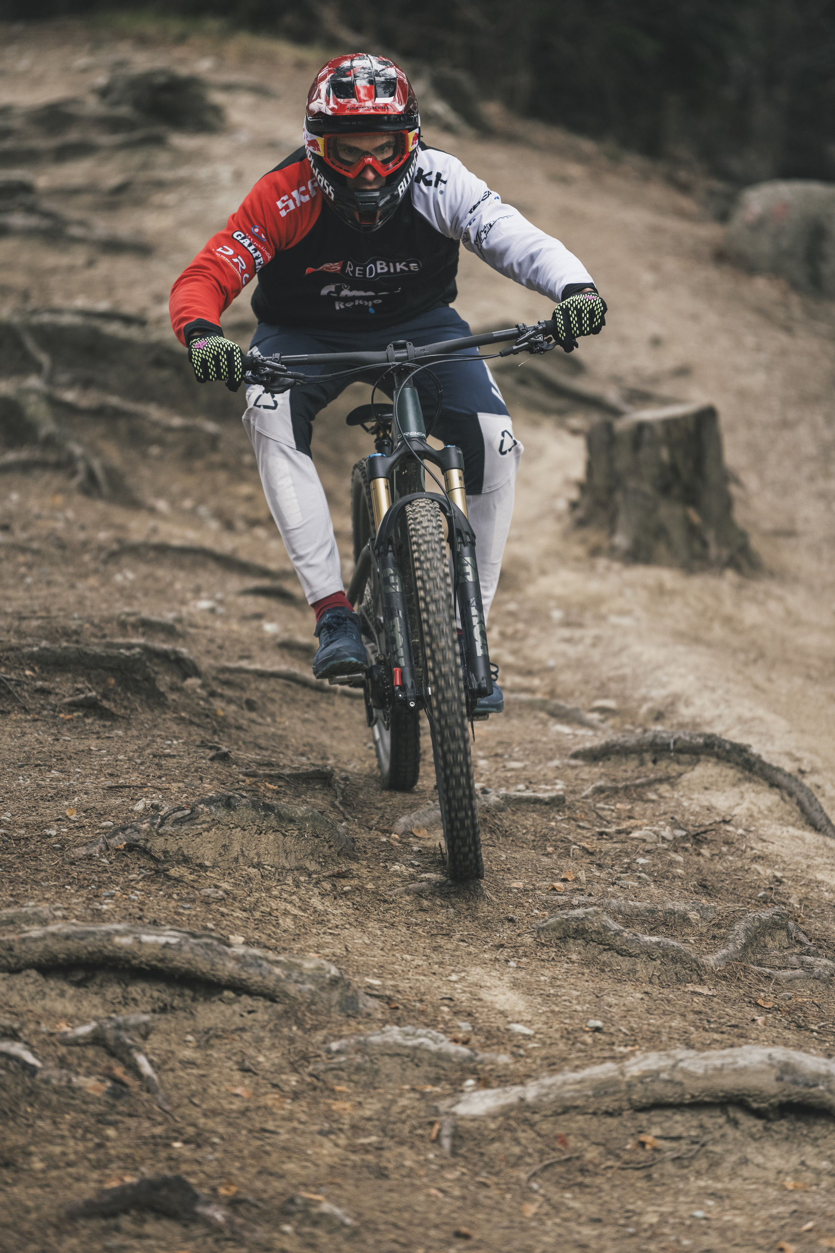 Sport