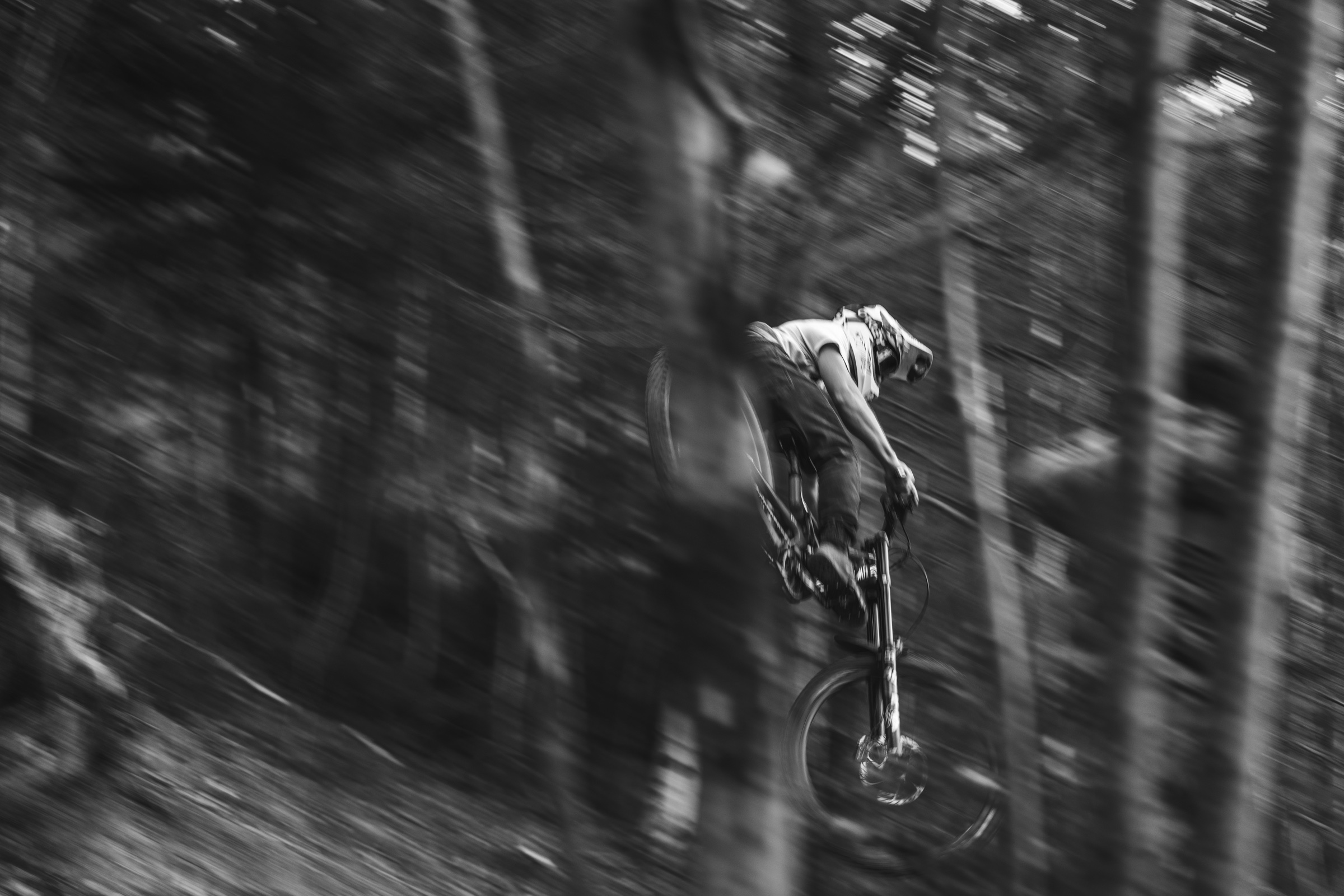 No Dig No Ride