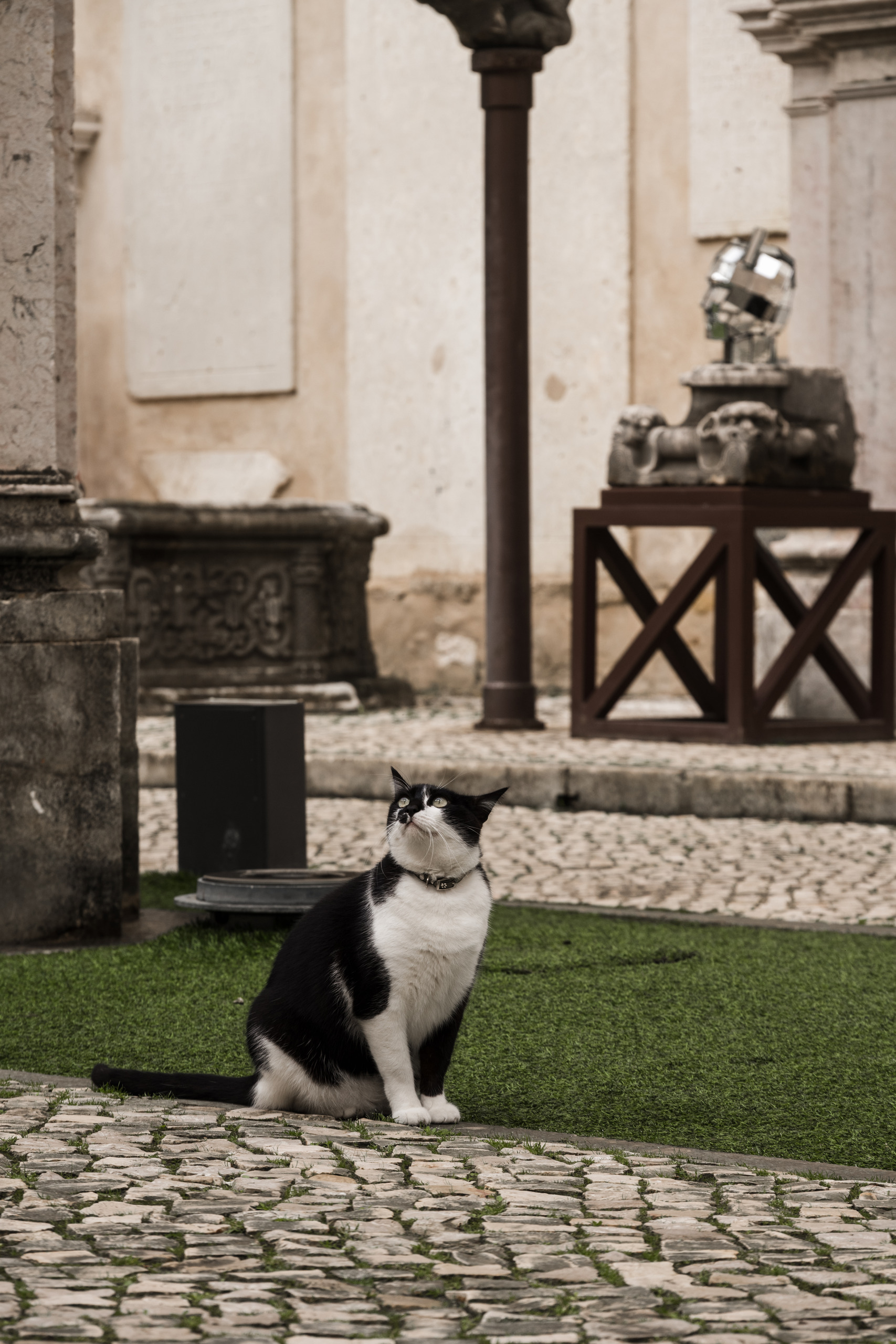 LISBONA